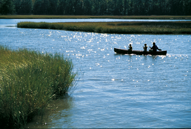 Father and Sons in Canoe