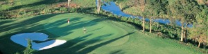 Riverfront Golf Putter Green Aerial