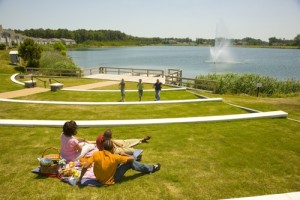 Amphitheater Picnic